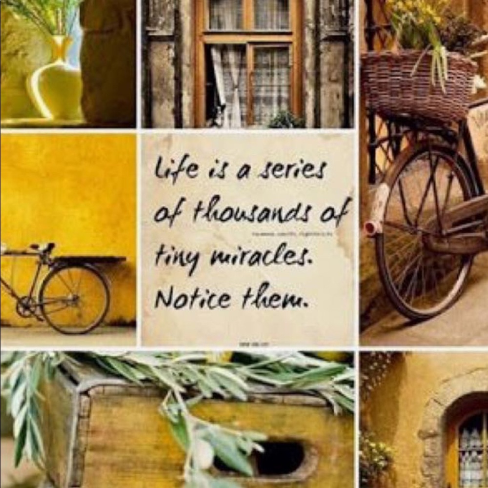 🍃💕Life’s a series 💕🍃